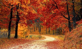 Foliage in Veneto con i bambini: 10 posti dove andare